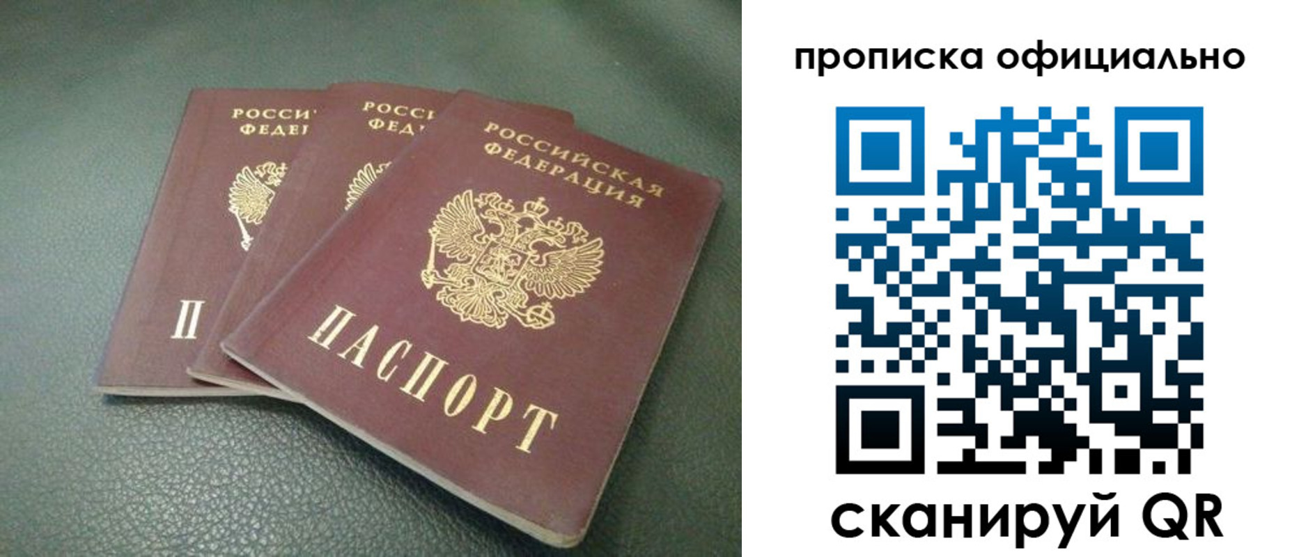 прописка для школы в Павловске