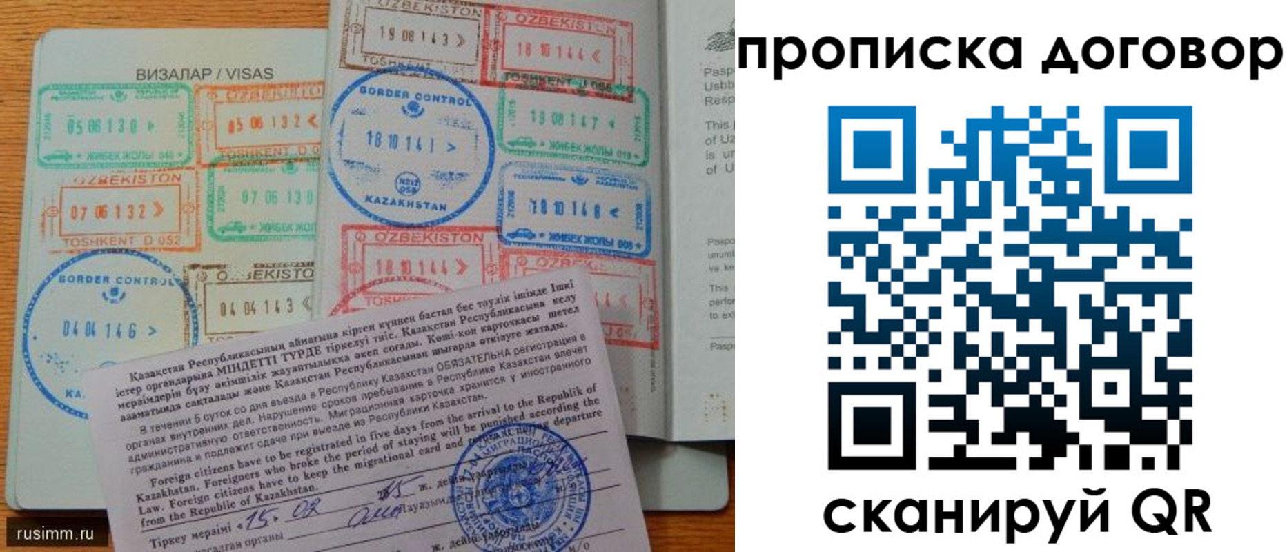 прописка в Павловске
