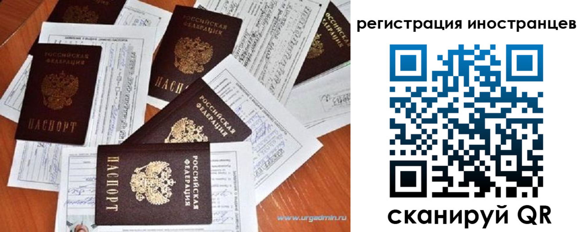 временная регистрация гарантия в Павловске