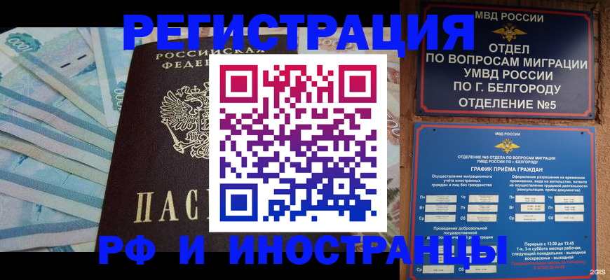 временная регистрация недорого в Павловске
